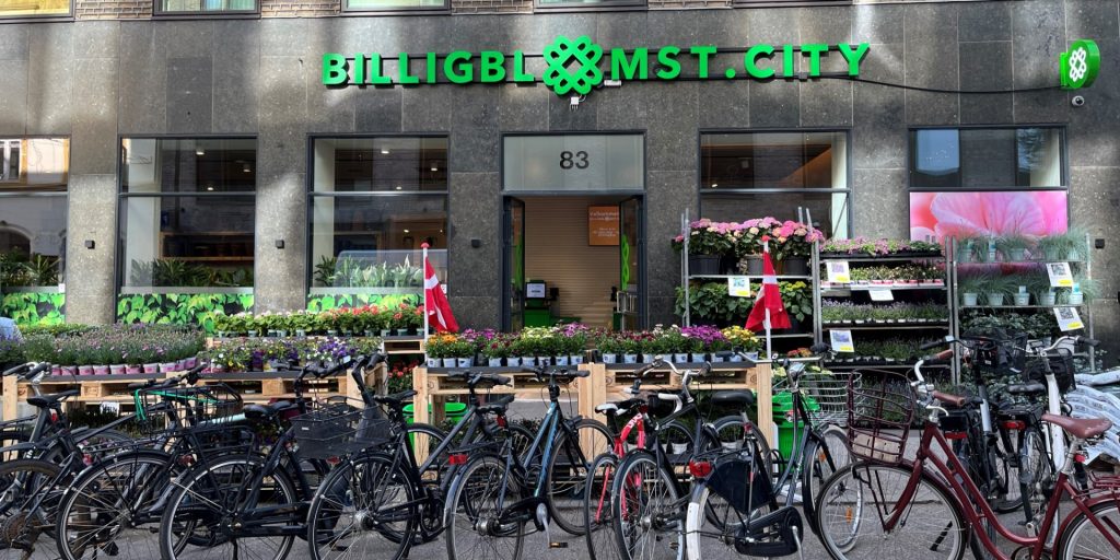 Slår dørene op fredag: Billigblomst og Meny åbner butik sammen
