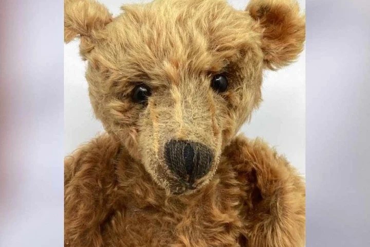 Købte bamse på loppemarked: Viste sig at være noget helt særligt