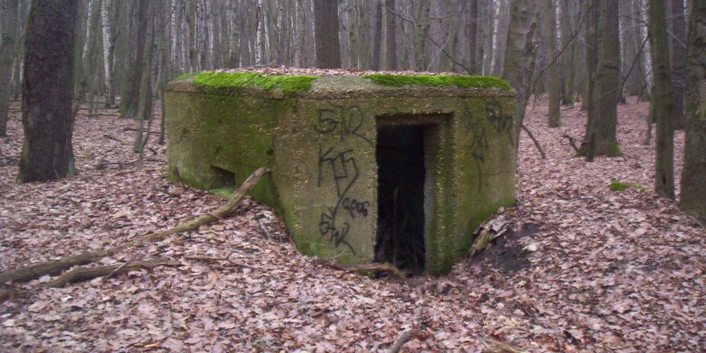 ‘Nazidræber’ anholdt – brugte offerets bankkort til at købe is