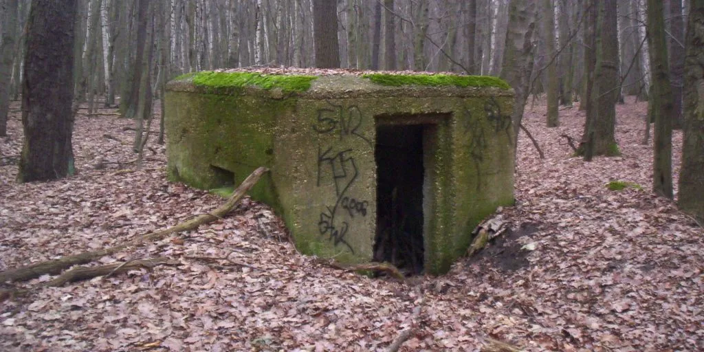 ‘Nazidræber’ anholdt – brugte offerets bankkort til at købe is