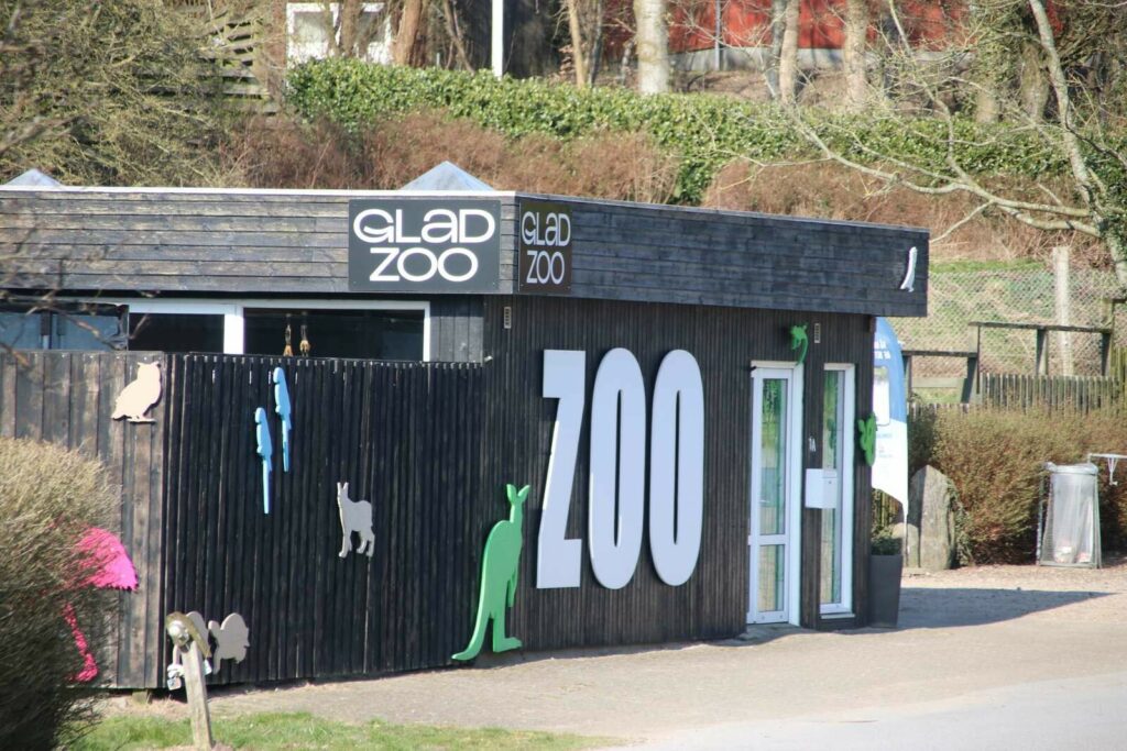 Kænguru stukket af fra zoo: Forsøg ikke at fang den hvis du ser den