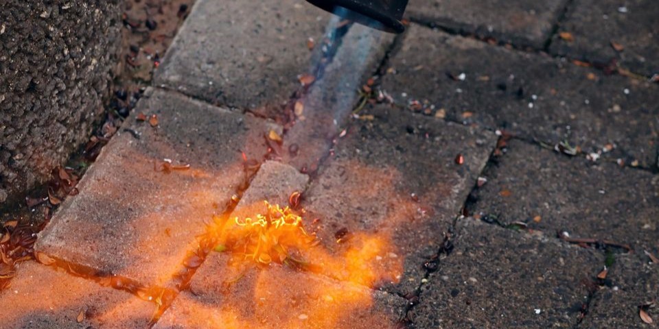 Særligt vigtigt nu: Kender du de 7 råd for ukrudtsbrændere?