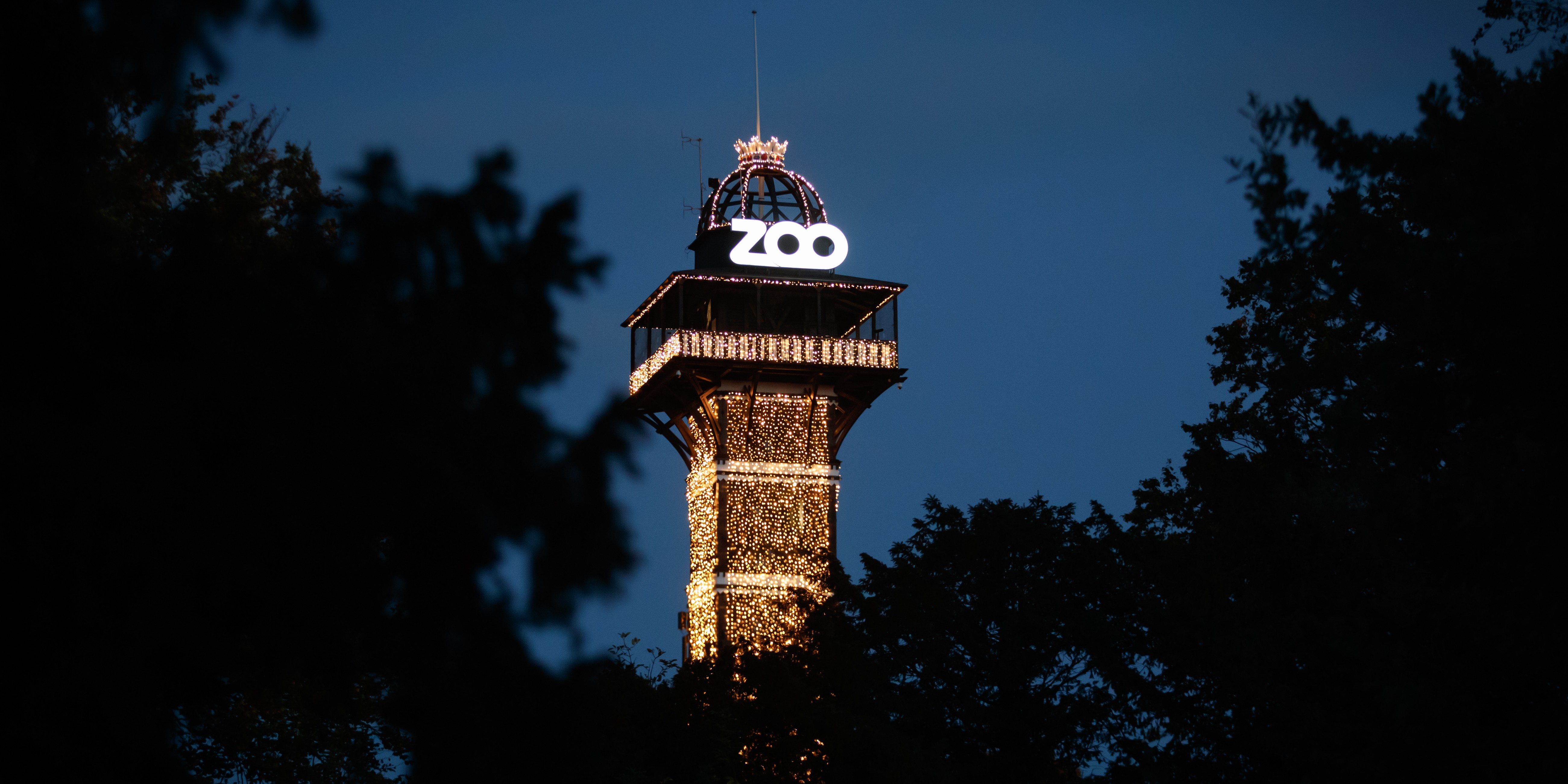 Dette er det værste, der kan ske nytårsaften ifølge ZOO-direktør