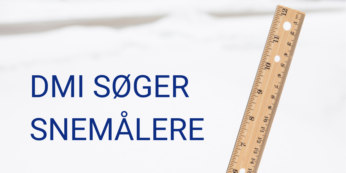 Vil du være snemåler? DMI søger hjælpere til vinter