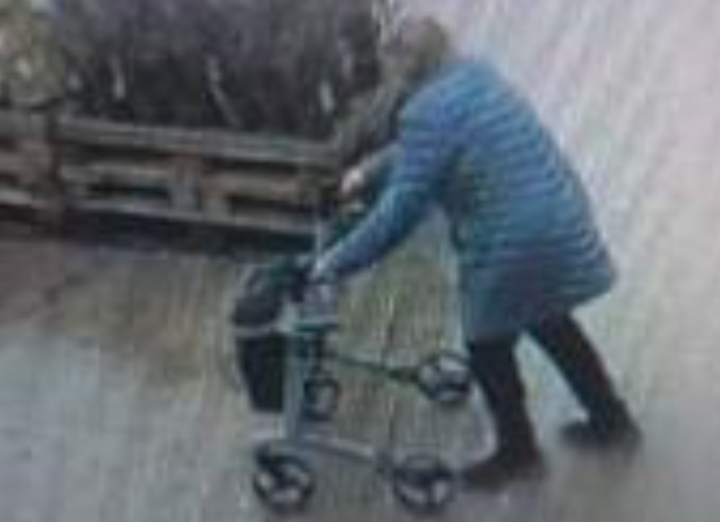 Politiet efterlyser: Har du set 91-årige Henny?