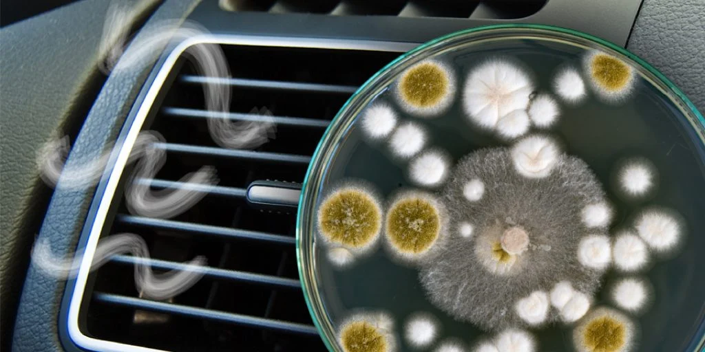 Bilens aircondition skal også renses – sådan kan du gøre det selv