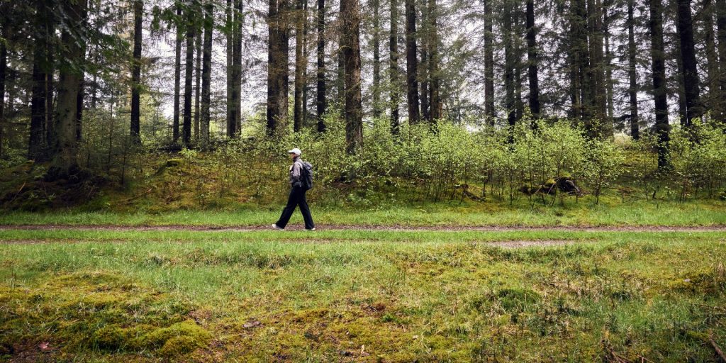 Har du gået Hærvejen? Nu bliver den nemmere at udforske