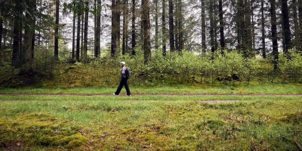 Har du gået Hærvejen? Nu bliver den nemmere at udforske