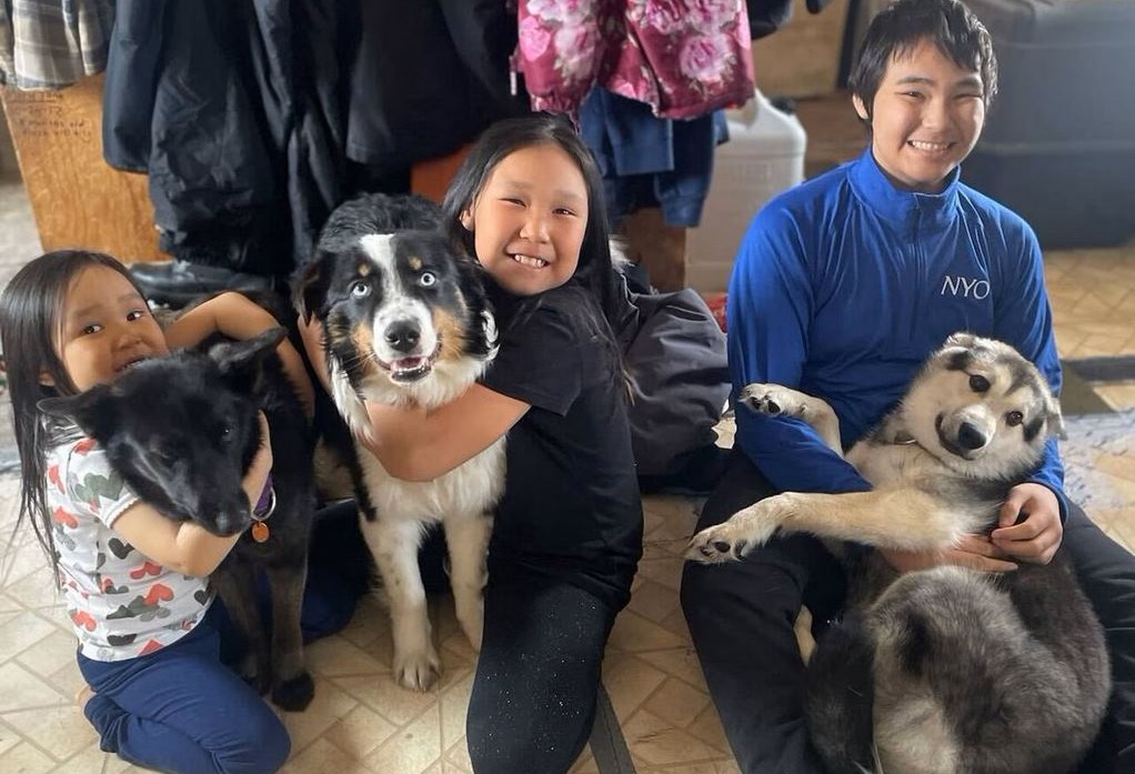 Dagens varmeste nyhed: Hund genforenet med familie efter rejse på 250 kilometer