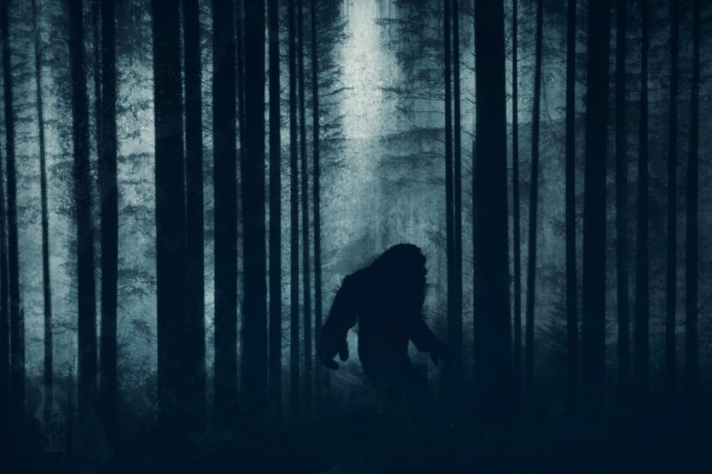 Ny forskning: Bigfoot-observationer har en helt simpel forklaring