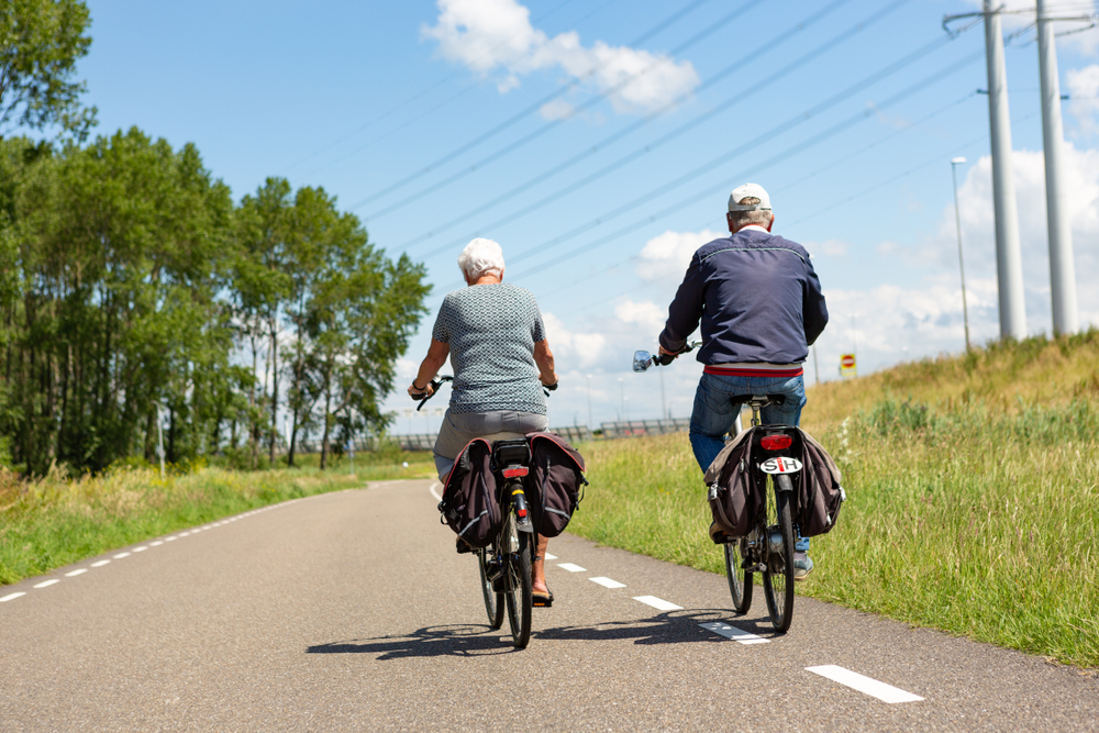 Den forkerte el-cykel kan blive en dyr investering