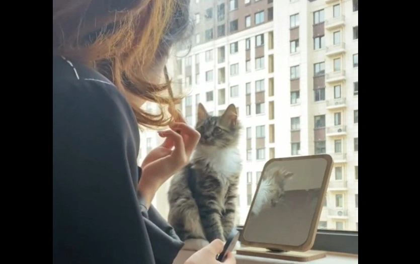 Lille spejl på væggen der: Se katten, der ønsker at blive ligeså yndig som sin mor
