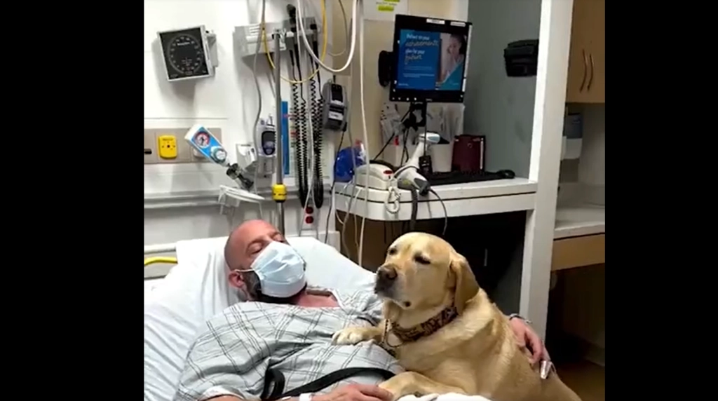 Ugens sødeste video: Hund støtter sin herre under hospitalsophold