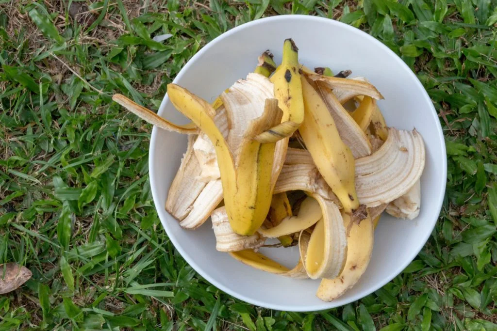 Bananskræl kan blive ny superfood