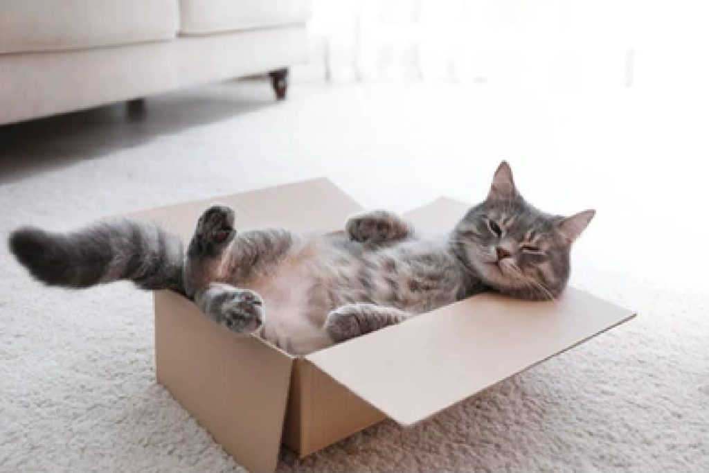 Kilde: Shutterstock