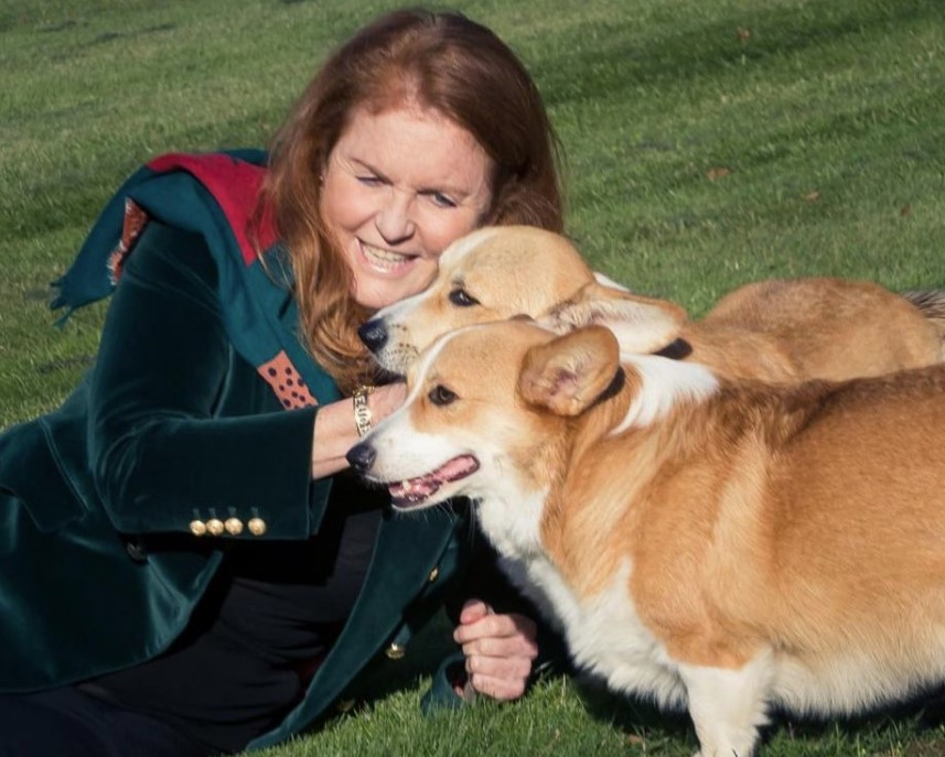 Sådan har Dronning Elisabeths hunde det i dag