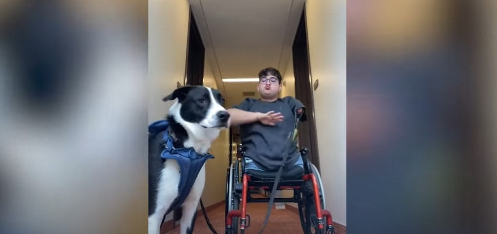 Mand født med halv krop: går stadig tur med hund hver dag