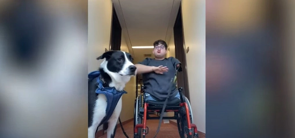 Mand født med halv krop: går stadig tur med hund hver dag