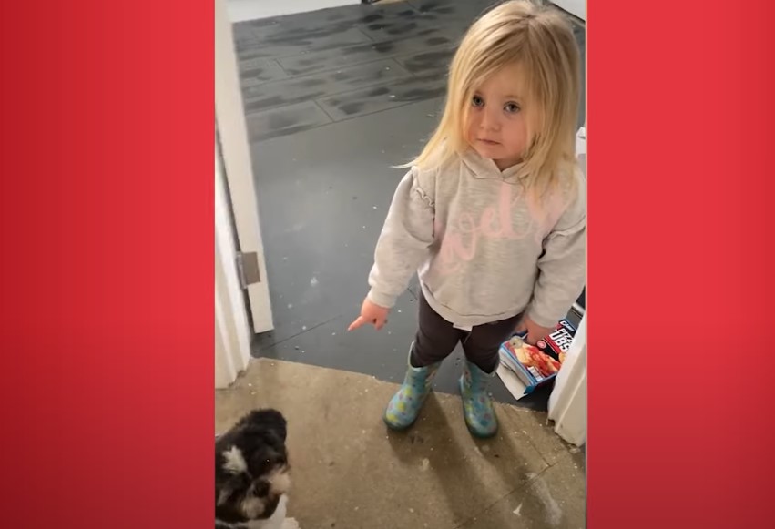 3-årig sætter håndaftryk på morens nymalede vægge: Du gætter aldrig hvem hun skyder skylden på