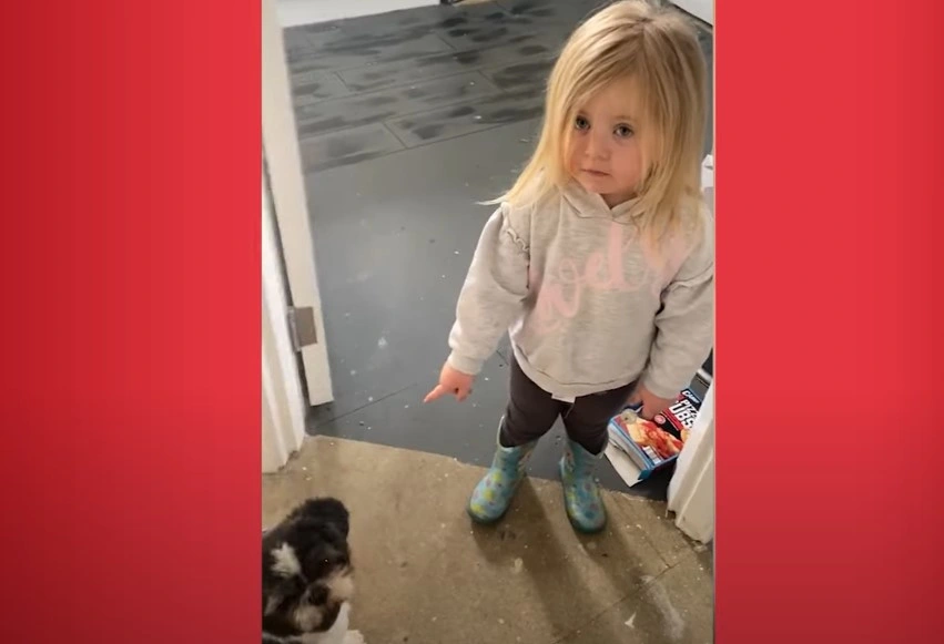 3-årig sætter håndaftryk på morens nymalede vægge: Du gætter aldrig hvem hun skyder skylden på