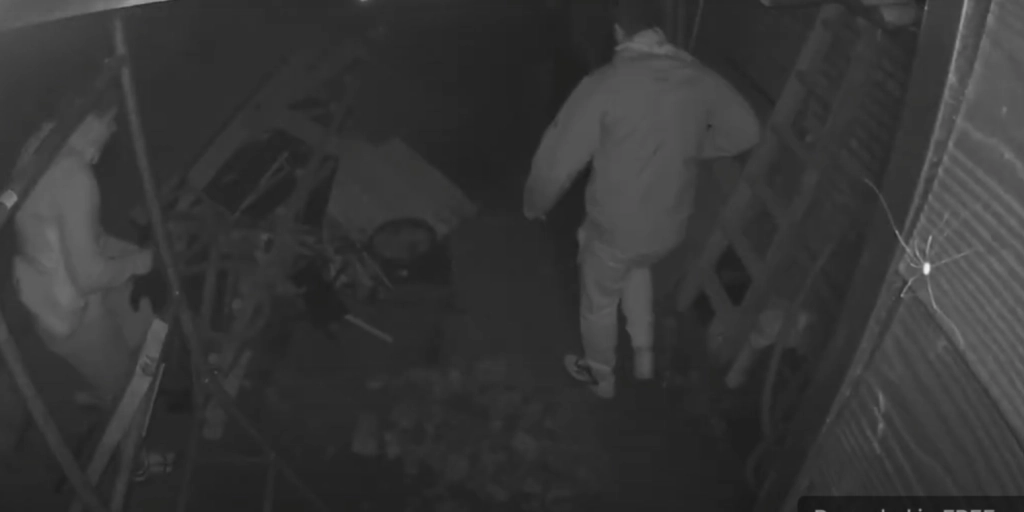 Politiet beder om hjælp – efterlyser indbrudstyve med video
