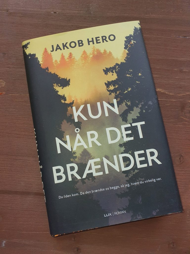 Overbevisende debutbog: Jakob Hero sammenlignes med Morten Pape
