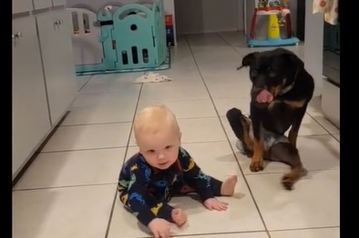 Familie adopterer lam hund: Nu lærer den deres baby at kravle