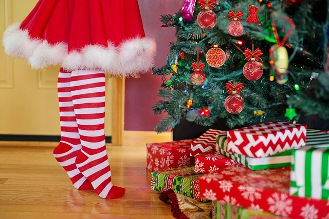 Fortalte barnebarnet sandheden om julemanden: Så blev bedstemor anholdt