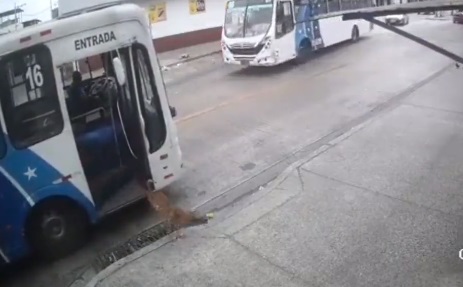 Smart hund tager bussen for at overraske sin ejer på arbejdet