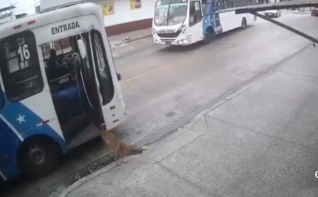 Smart hund tager bussen for at overraske sin ejer på arbejdet