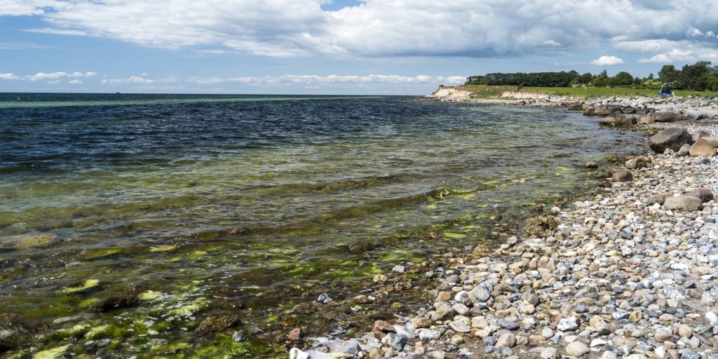 Gå ikke i vandet: Badning frarådes ved 3 strande og 1 sø