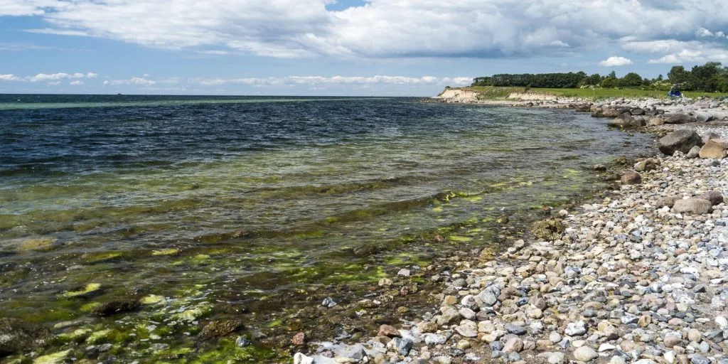 Gå ikke i vandet: Badning frarådes ved 3 strande og 1 sø