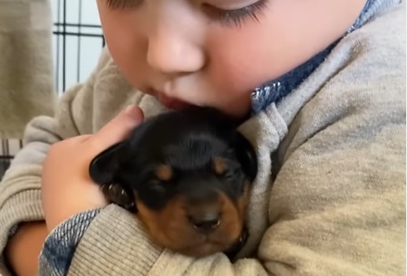 Lille dreng kan ikke få nok af hundehvalp – er det her dagens sødeste video?