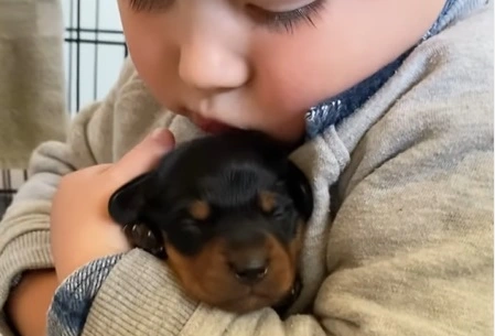 Lille dreng kan ikke få nok af hundehvalp – er det her dagens sødeste video?