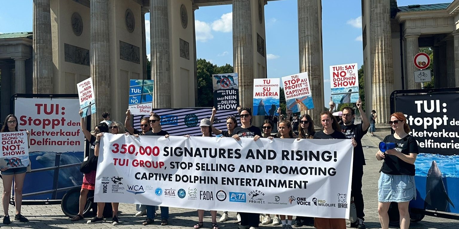 TUI i modvind: 15 organisationer afleverer 350.000 underskrifter som protest