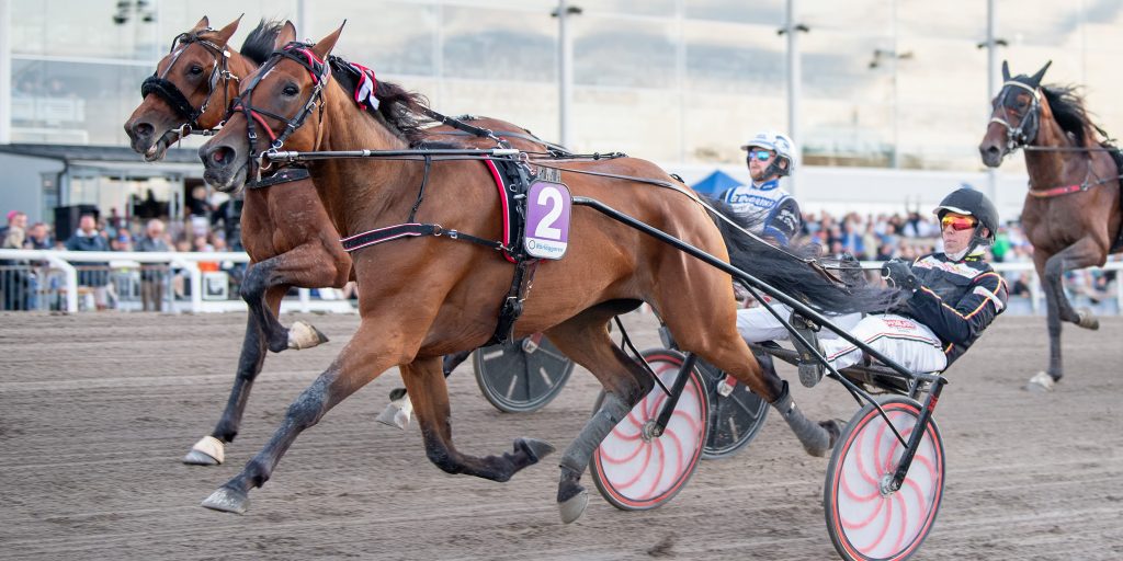 Spillede for 54 kroner – nu har han råd til en ny bil
