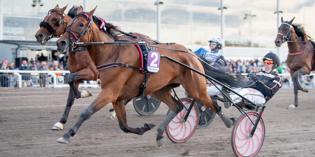 Spillede for 54 kroner – nu har han råd til en ny bil