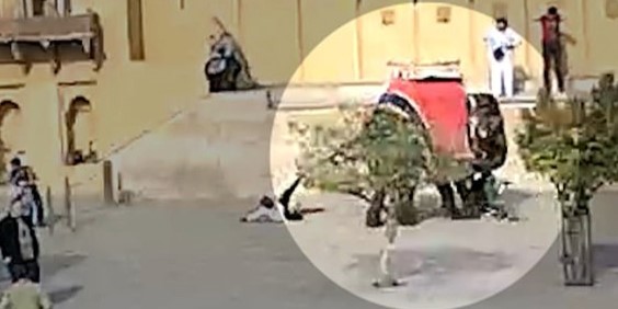Alvorlig ferieulykke fanget på video: Elefant går amok på turist