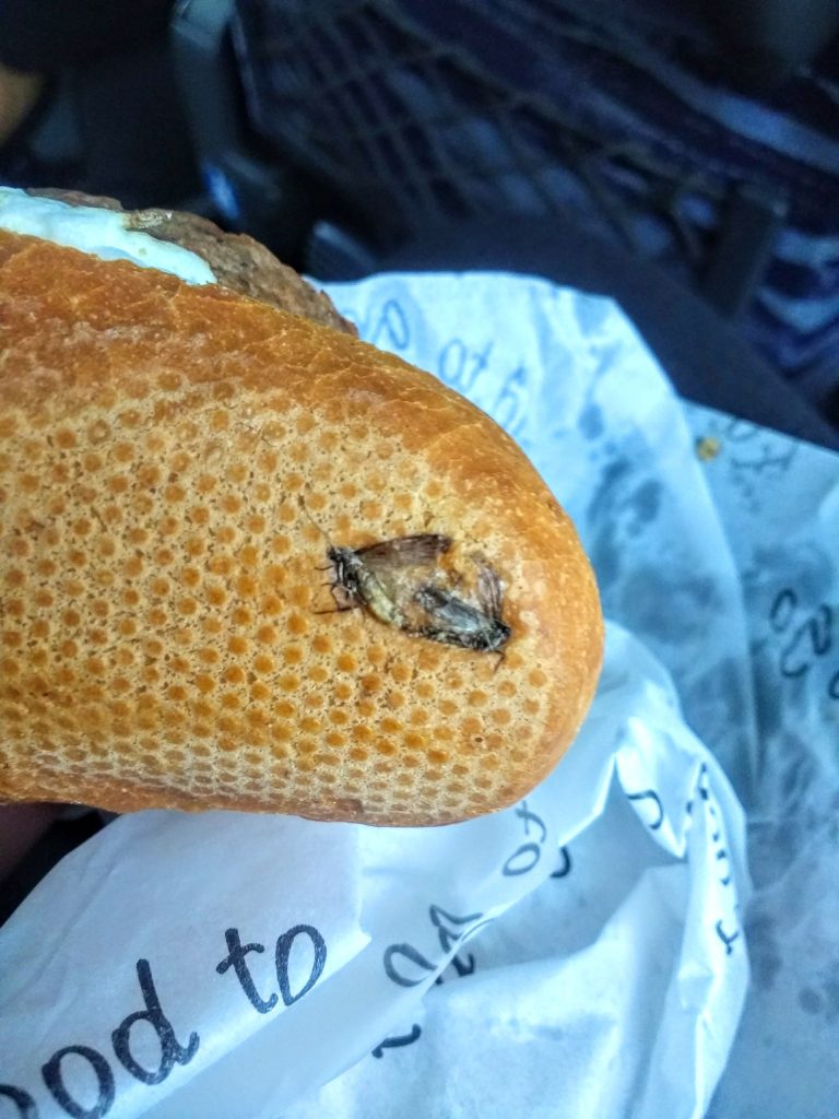 “Tjener – der er en flue i min sandwich” – kvalmende fund i Dublin Lufthavn