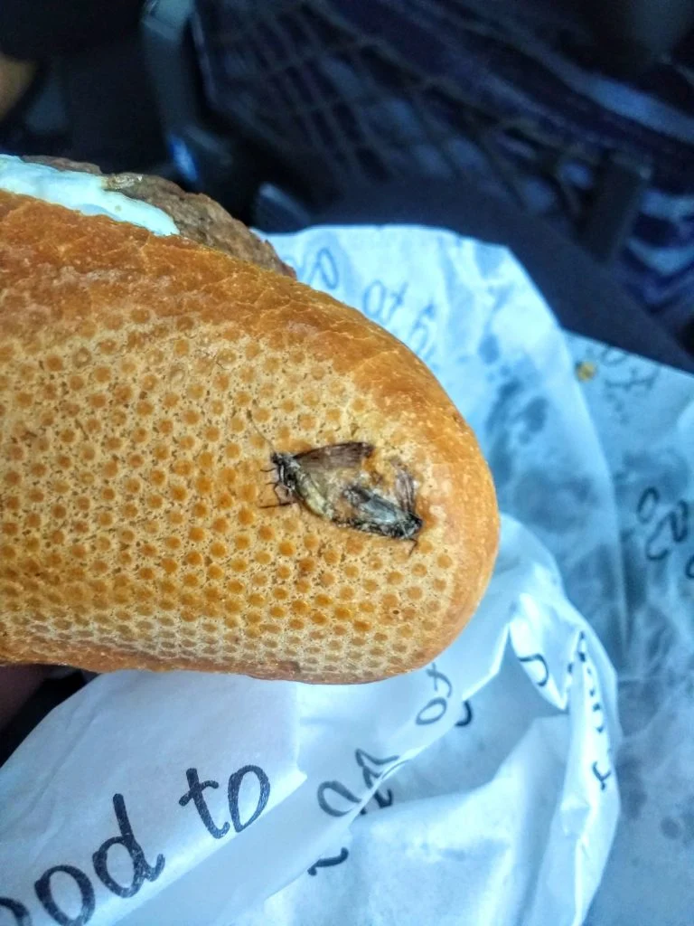 “Tjener – der er en flue i min sandwich” – kvalmende fund i Dublin Lufthavn