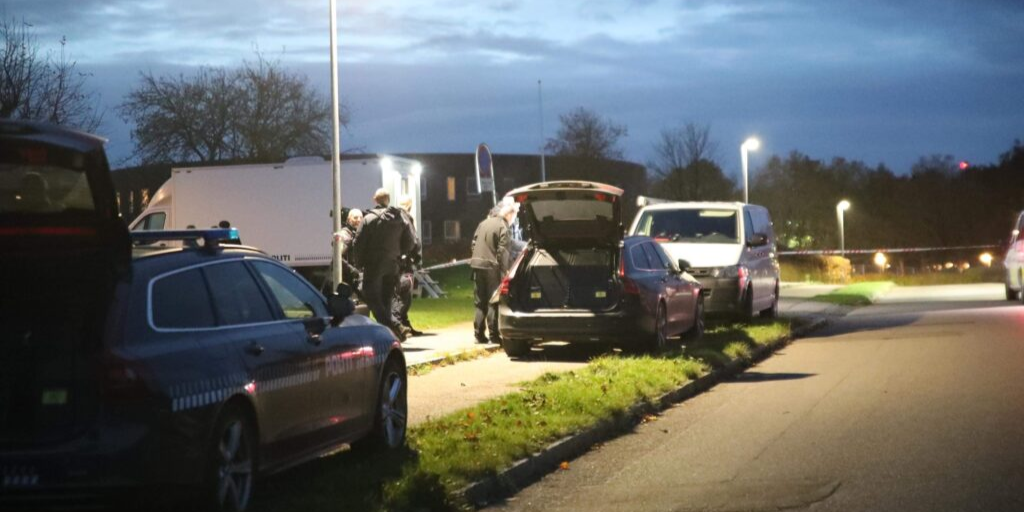 Gravid kvinde stukket ihjel – barnet er i live