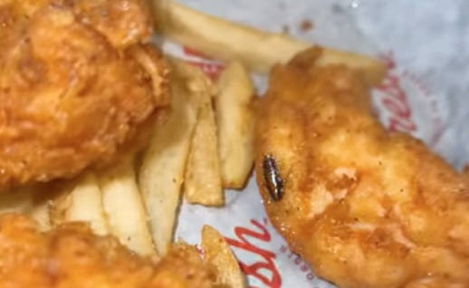 Kunde fandt en kakerlak i sin kylling: Så blev restaurantejeren sur på hende