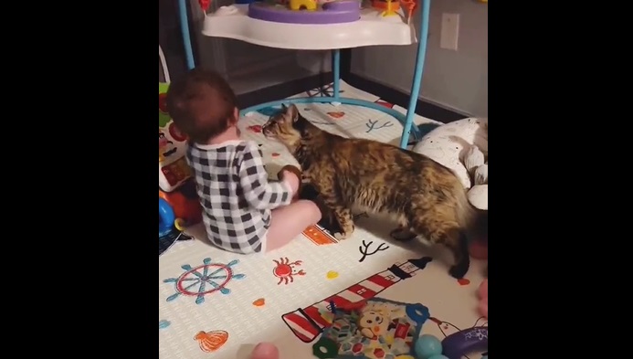 Barn skriger højt indtil katten kommer og trøster: Se den søde video her
