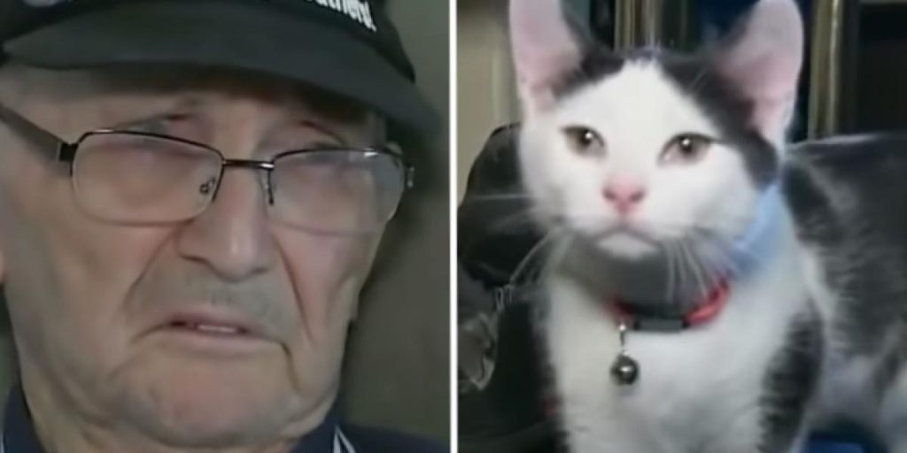 Pensionist fik en kat foræret: Det blev hans redning