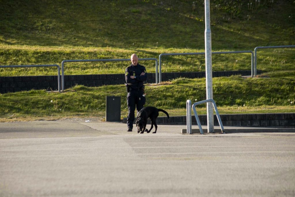Skud ved indkøbscenter: Politiet søger vidner