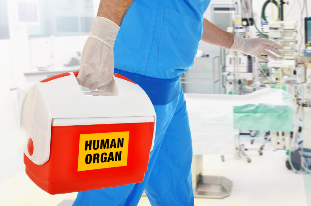 Sundhedsstyrelsen vil tillade organdonation fra patienter med hjerneaktivitet