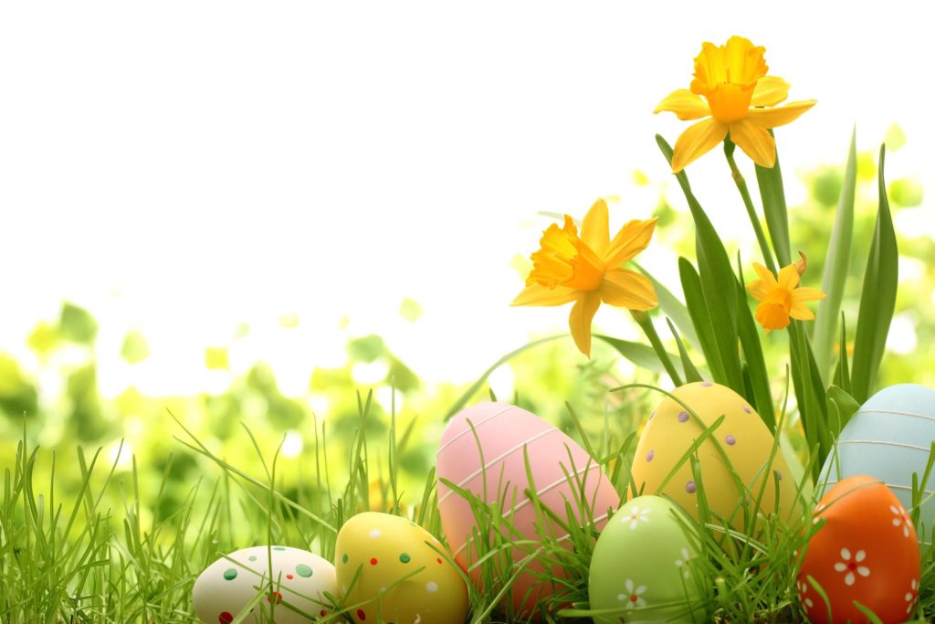 foto: Shutterstock