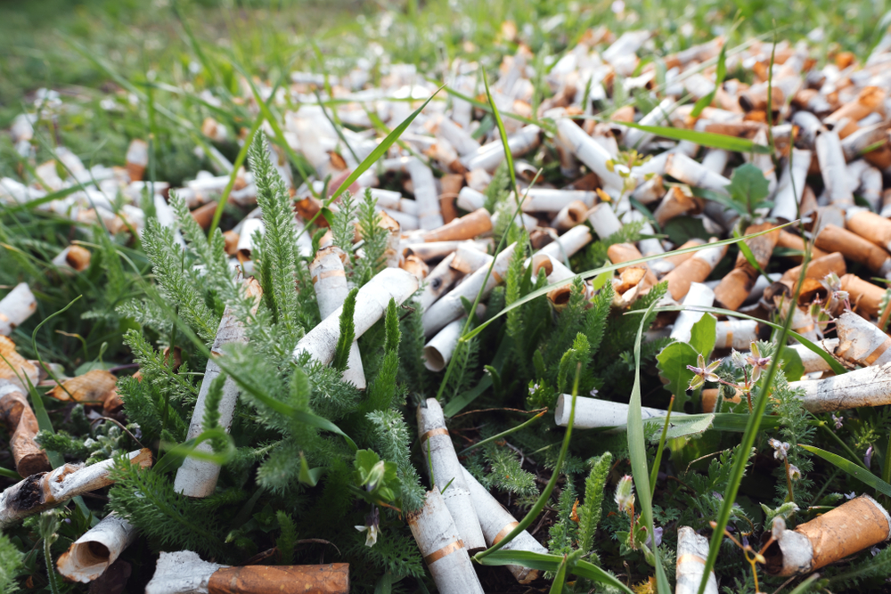 Kvinde raser: ‘Min nabo bliver ved med at sprede sine cigaretskodder over hele vores have’