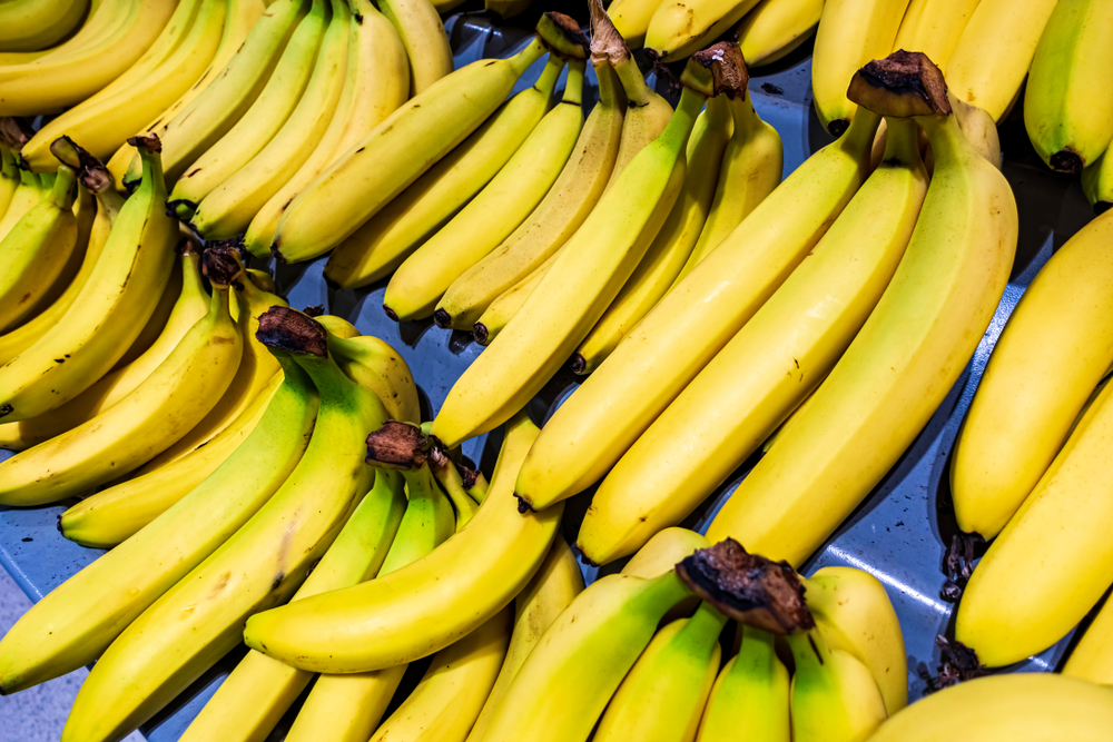 Forsker forklarer: Din mælk og bananer er radioaktive