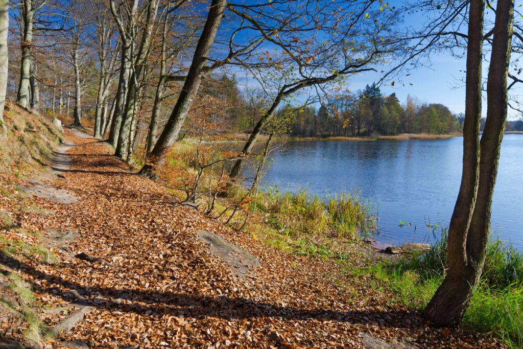 4 bedste vandreture i det danske efterår